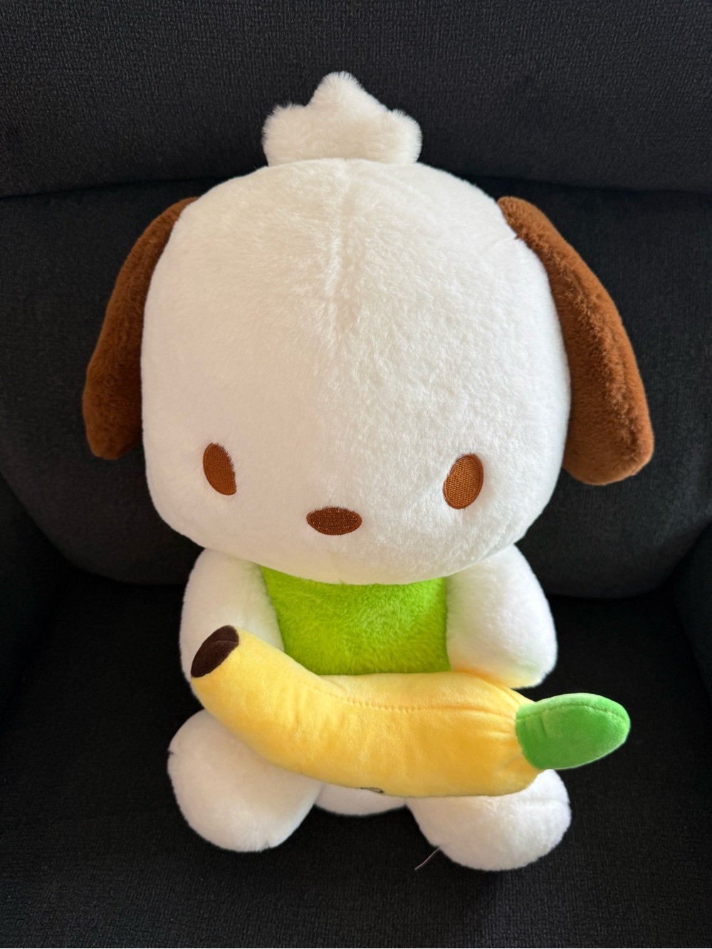 Pochacco Plush